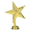 Star Figure